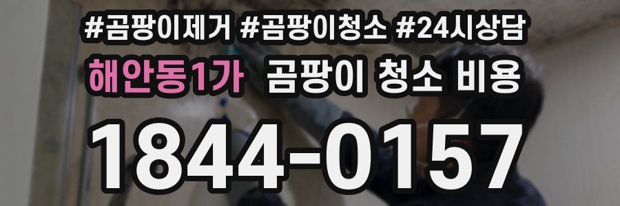 해안동1가 곰팡이 청소 비용