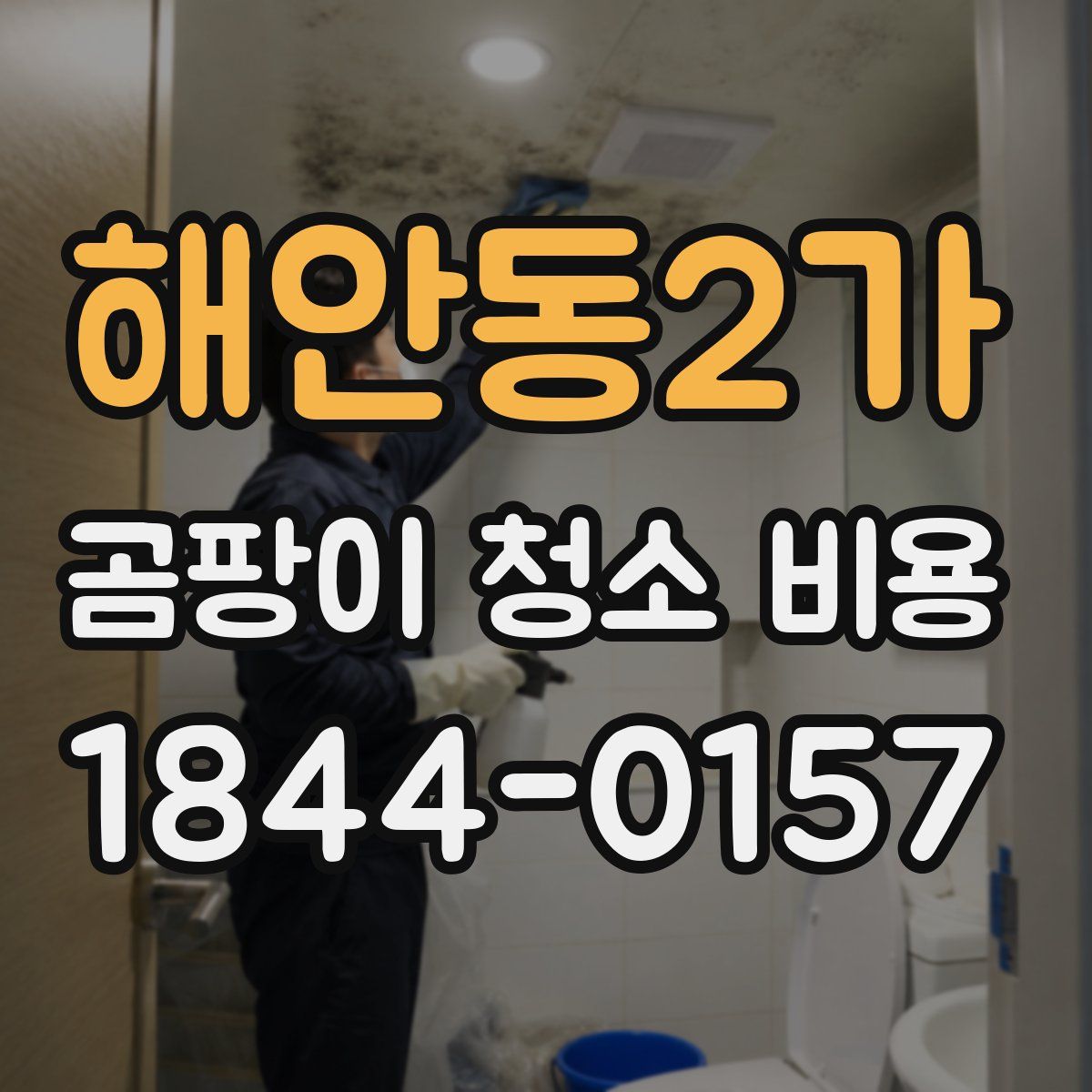 해안동2가 곰팡이 청소 비용