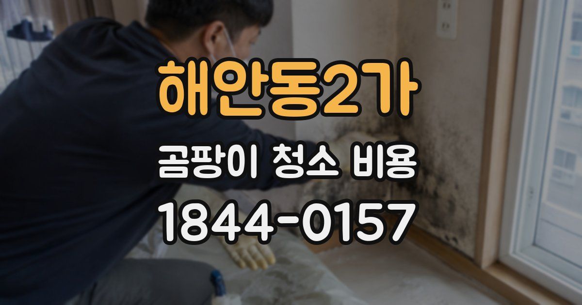 해안동2가 곰팡이 청소 비용