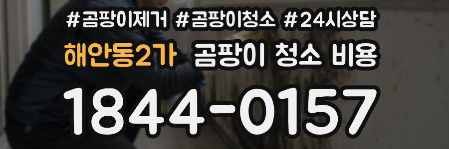 해안동2가 곰팡이 청소 비용
