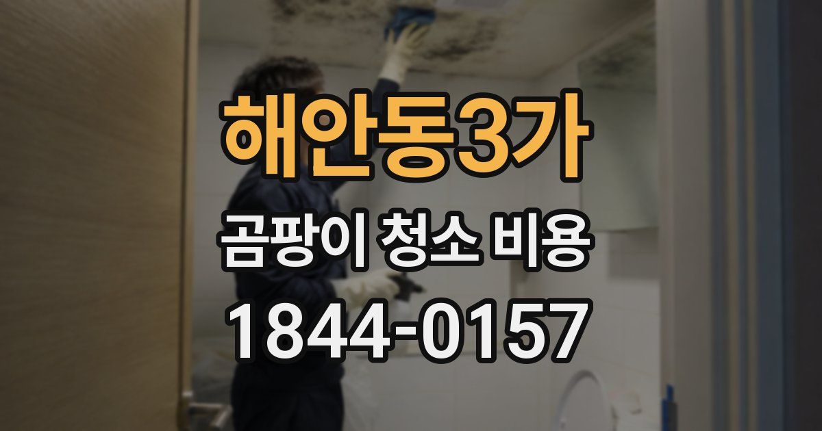 해안동3가 곰팡이 청소 비용