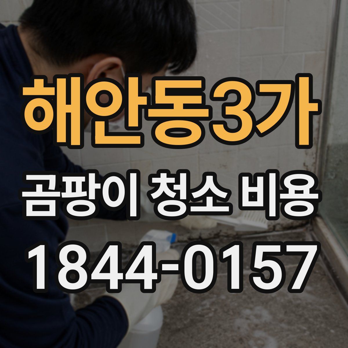 해안동3가 곰팡이 청소 비용