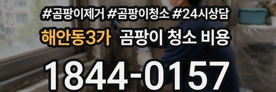 해안동3가 곰팡이 청소 비용