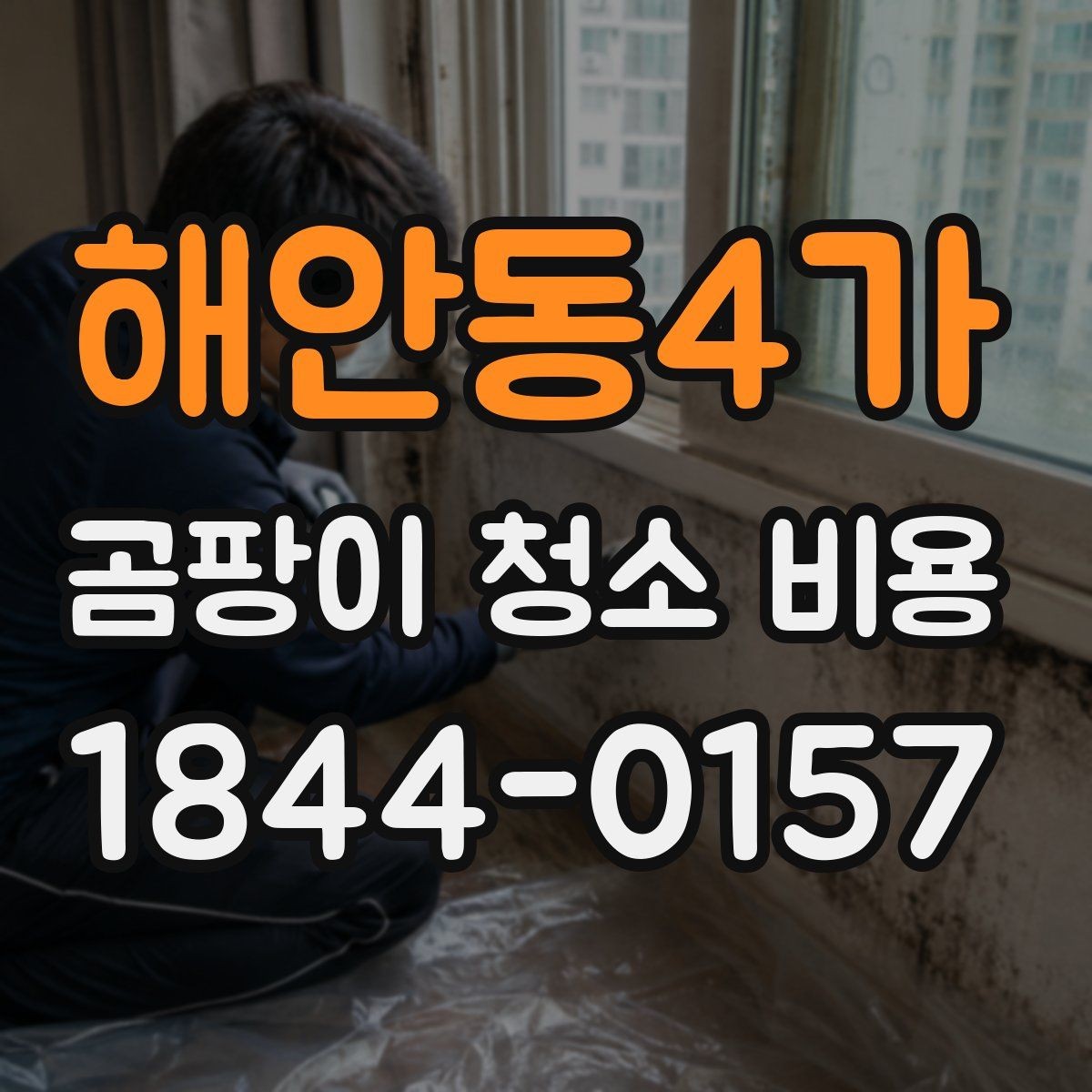해안동4가 곰팡이 청소 비용 벽면 세척만으로 부족한 상황은 언제일까