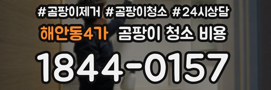 해안동4가 곰팡이 청소 비용