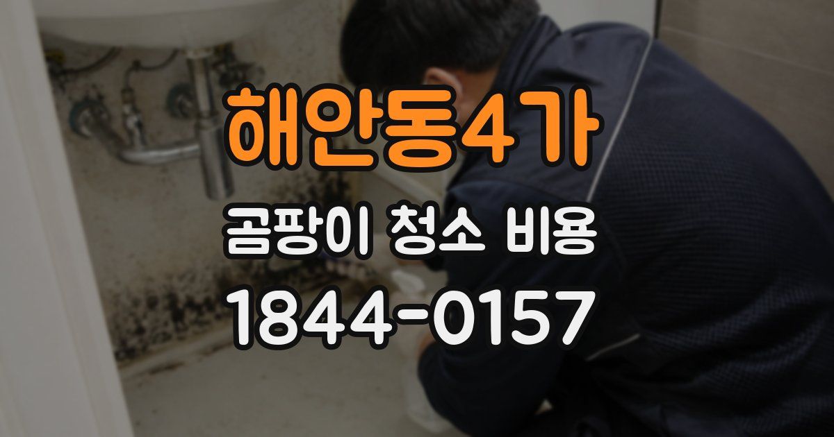 해안동4가 곰팡이 청소 비용