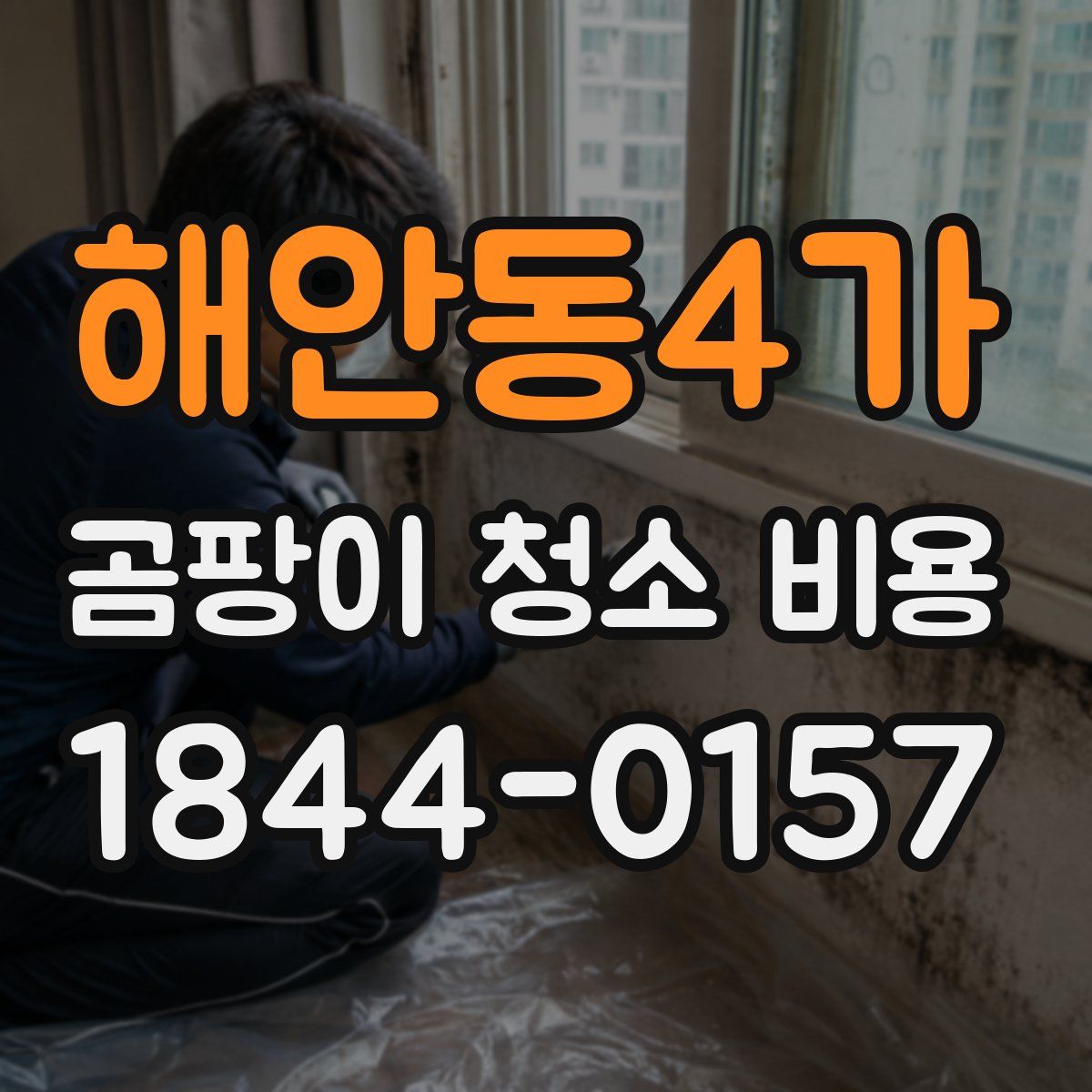 해안동4가 곰팡이 청소 비용
