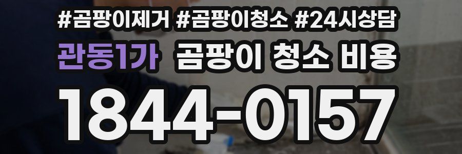 관동1가 곰팡이 청소 비용