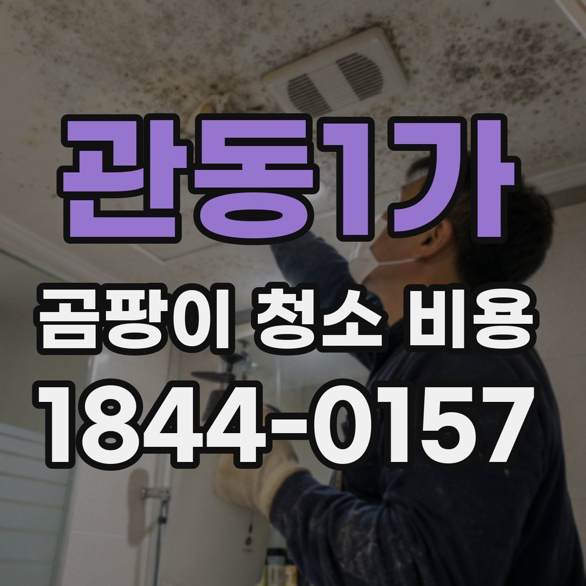 관동1가 곰팡이 청소 비용