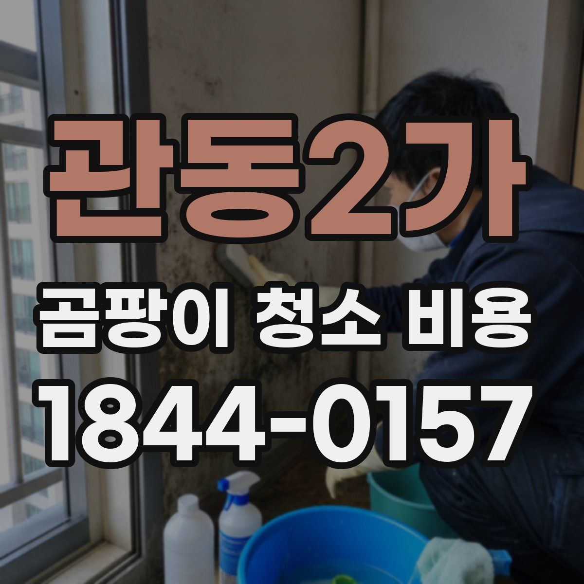관동2가 곰팡이 청소 비용