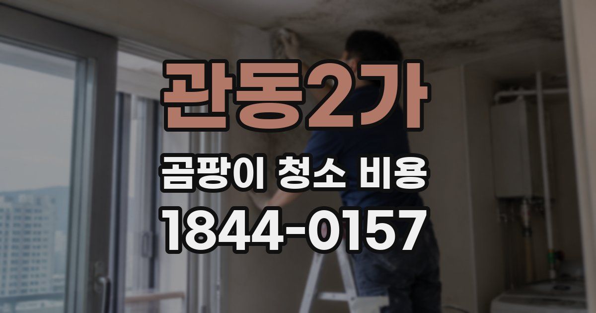 관동2가 곰팡이 청소 비용