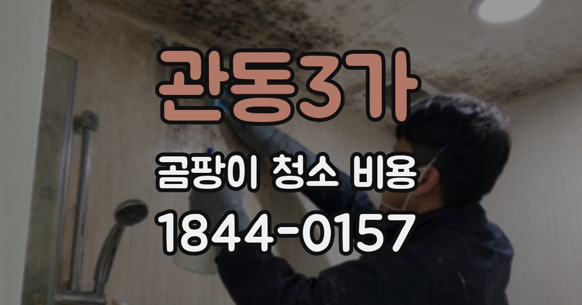 관동3가 곰팡이 청소 비용