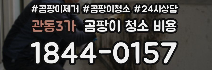 관동3가 곰팡이 청소 비용