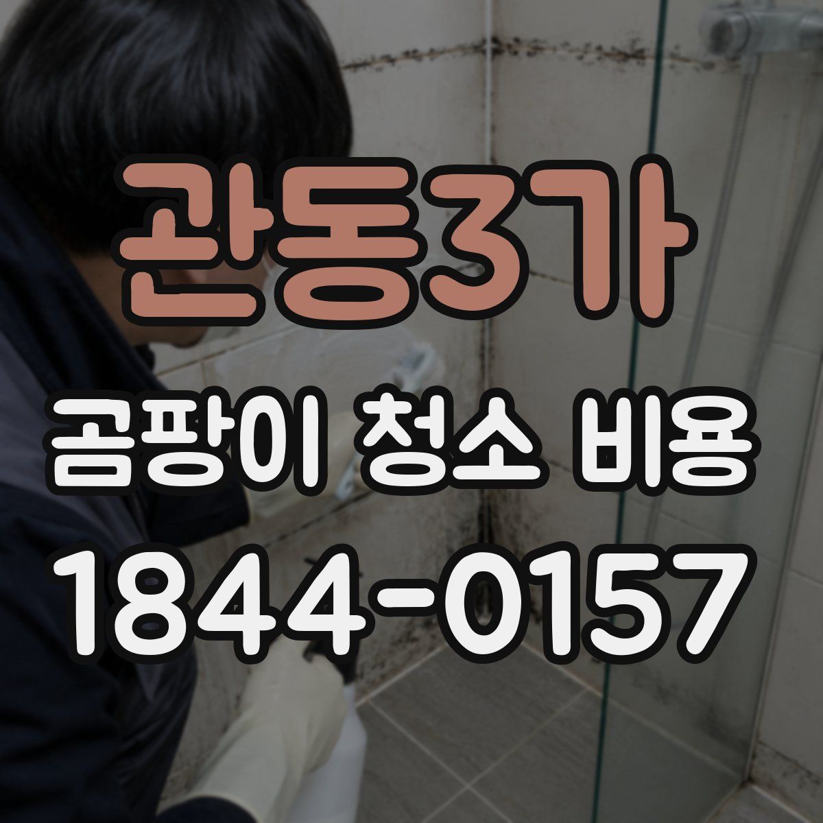 관동3가 곰팡이 청소 비용