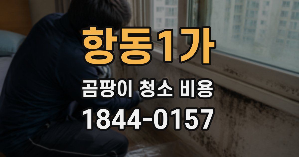 항동1가 곰팡이 청소 비용