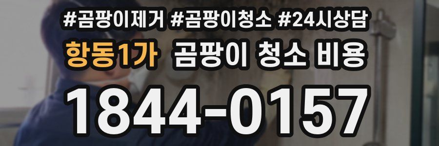 항동1가 곰팡이 청소 비용