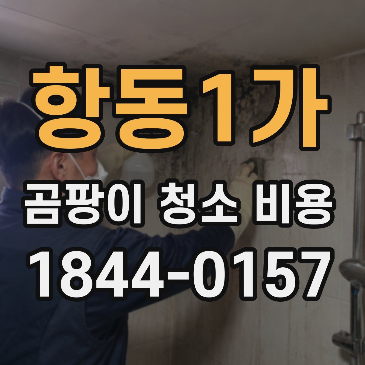 항동1가 곰팡이 청소 비용