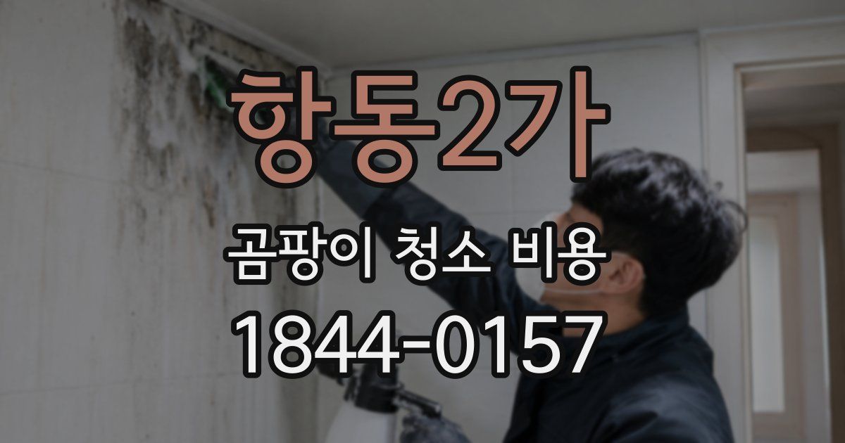 항동2가 곰팡이 청소 비용