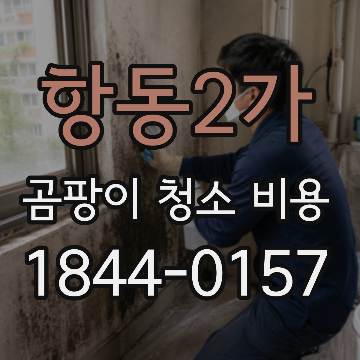 항동2가 곰팡이 청소 비용