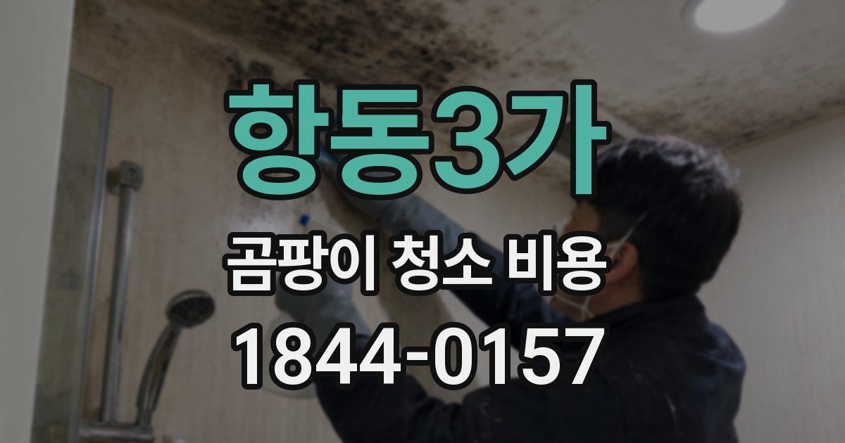 항동3가 곰팡이 청소 비용