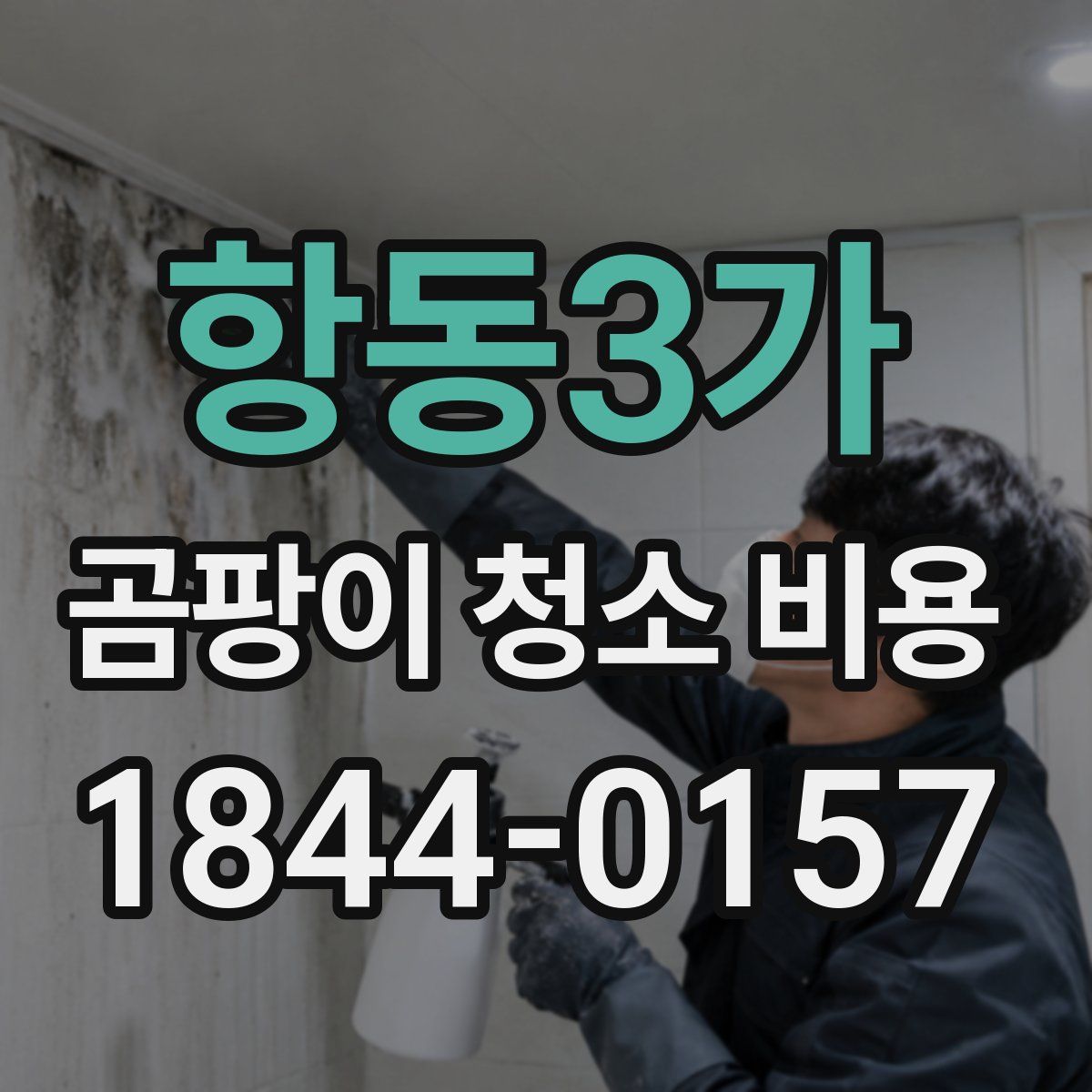 항동3가 곰팡이 청소 비용