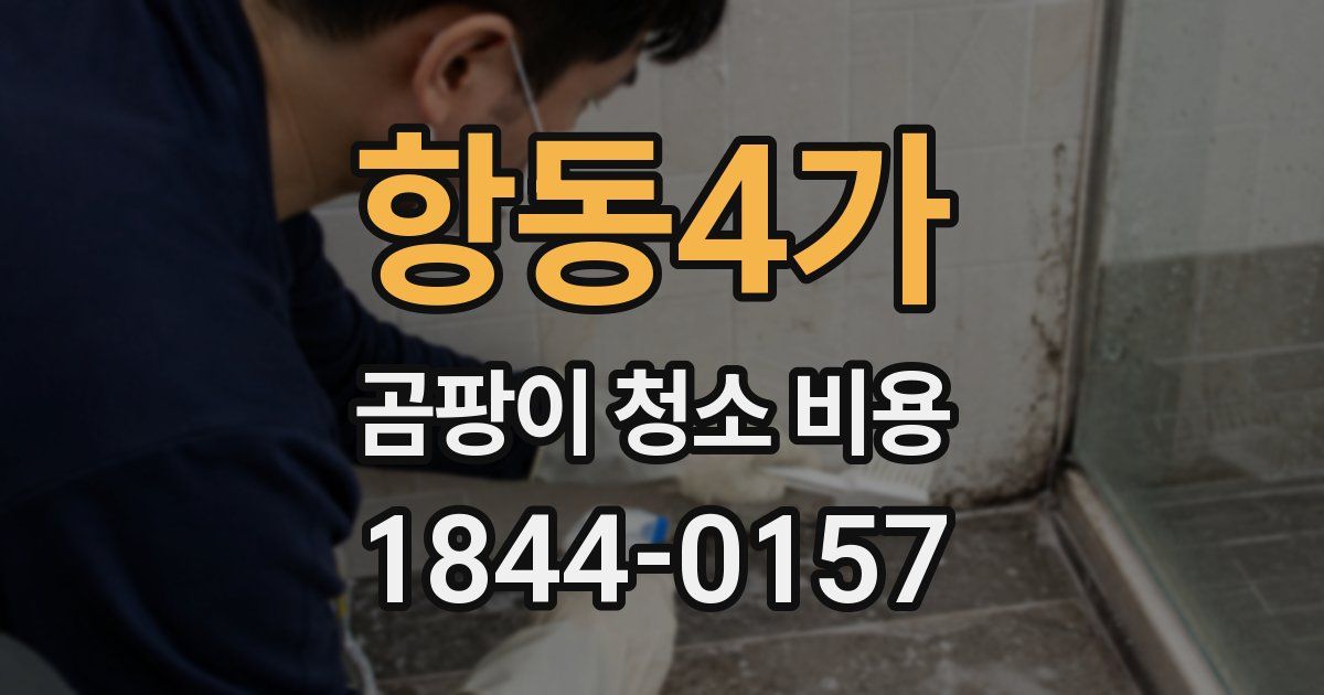 항동4가 곰팡이 청소 비용