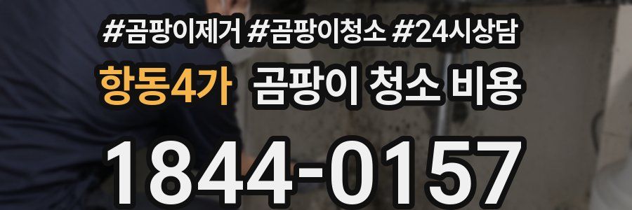 항동4가 곰팡이 청소 비용