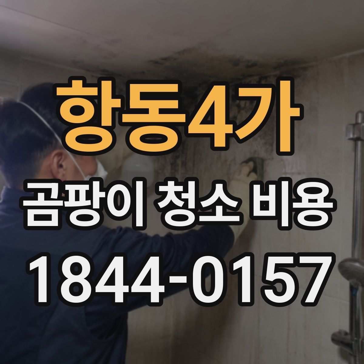 항동4가 곰팡이 청소 비용