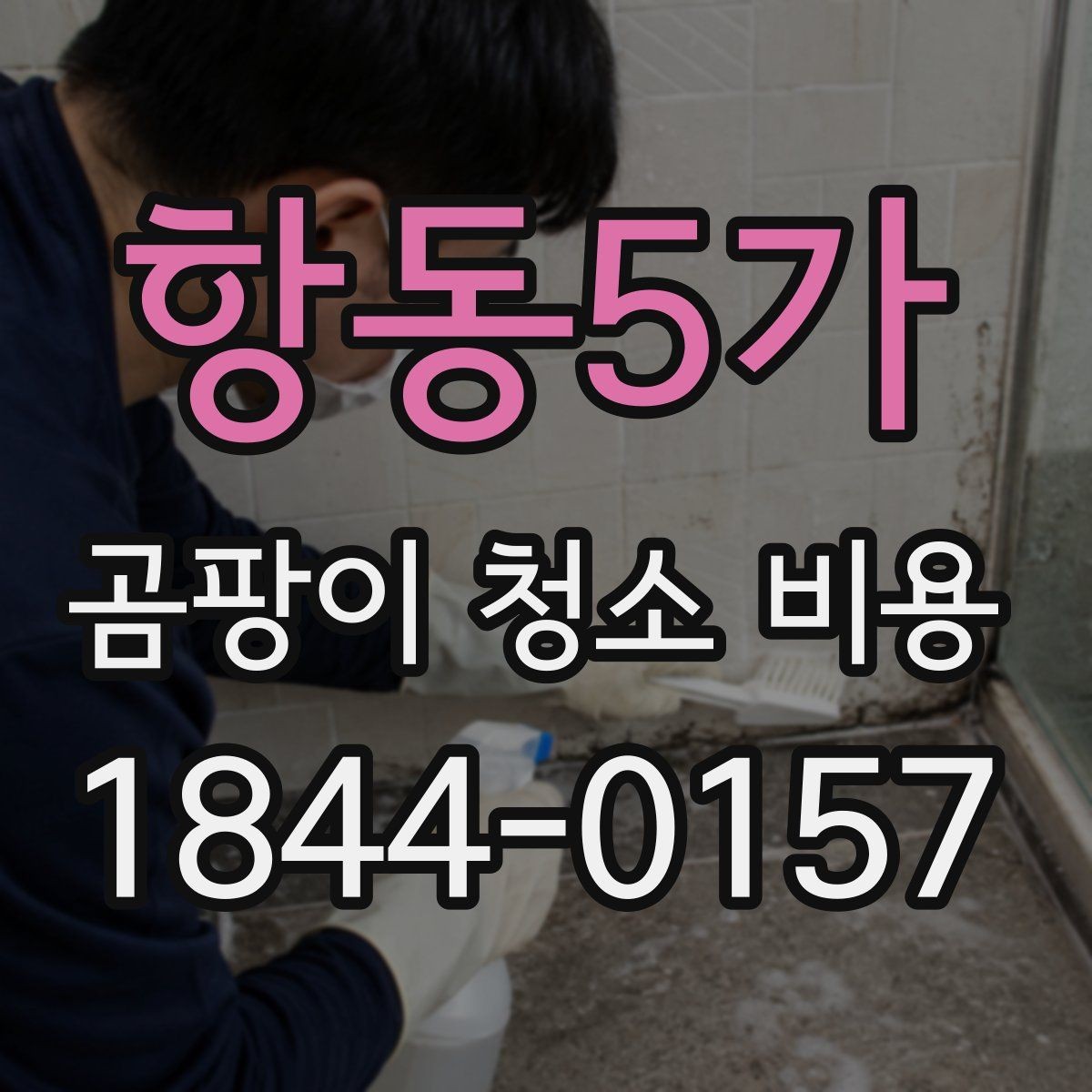 항동5가 곰팡이 청소 비용 욕실 실리콘 부위와 타일 틈 처리 기준
