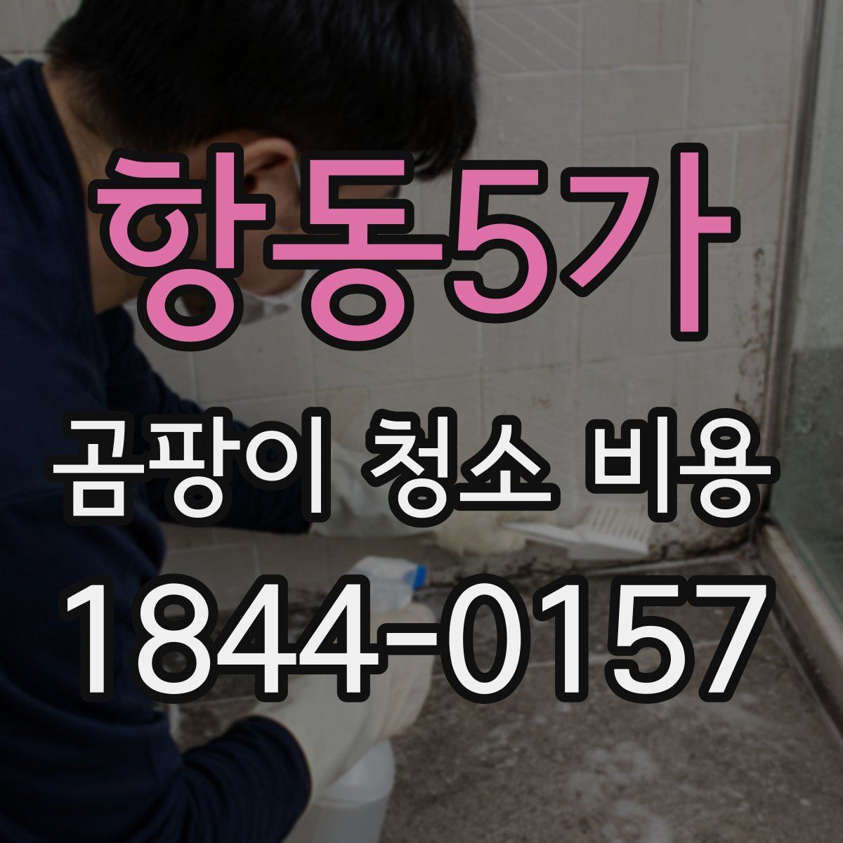 항동5가 곰팡이 청소 비용