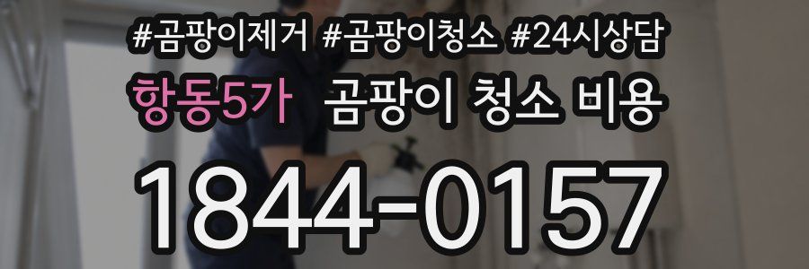 항동5가 곰팡이 청소 비용