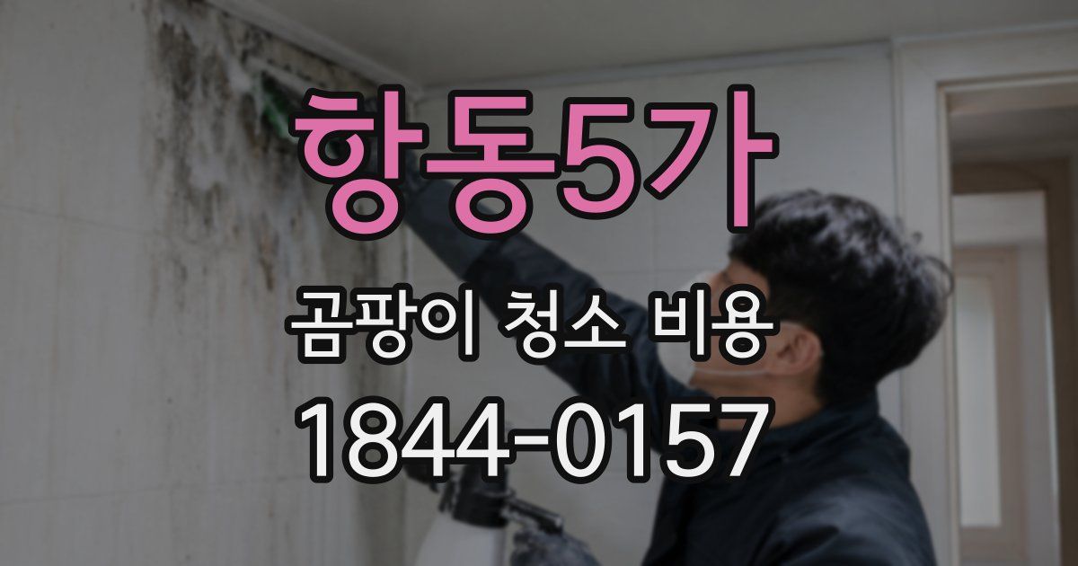 항동5가 곰팡이 청소 비용