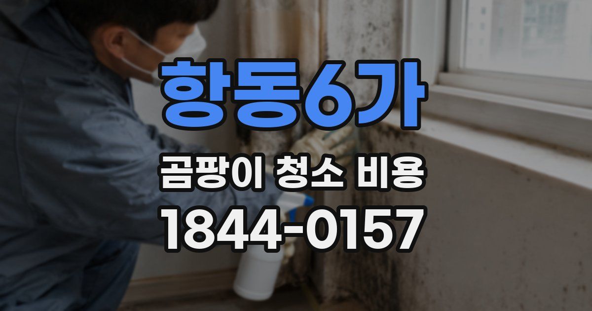 항동6가 곰팡이 청소 비용