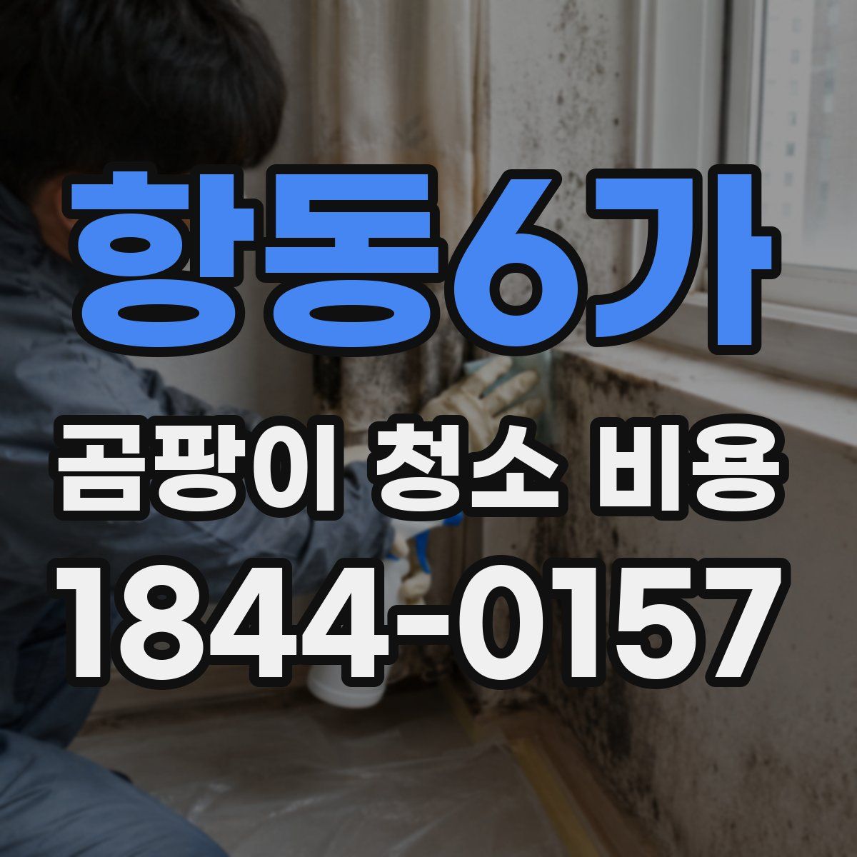 항동6가 곰팡이 청소 비용