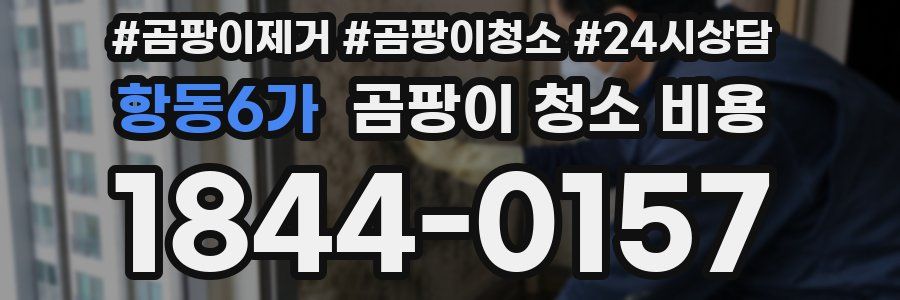 항동6가 곰팡이 청소 비용