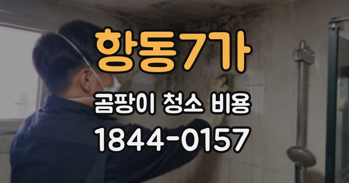 항동7가 곰팡이 청소 비용