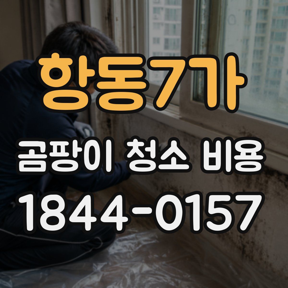 항동7가 곰팡이 청소 비용