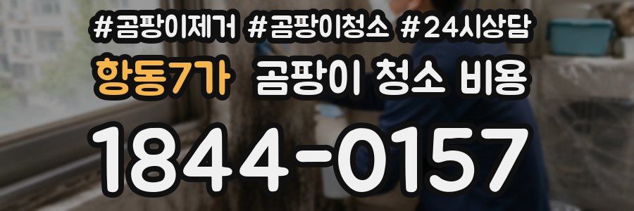 항동7가 곰팡이 청소 비용