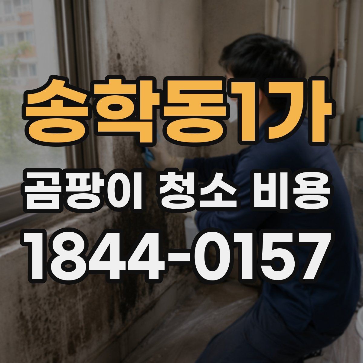 송학동1가 곰팡이 청소 비용 입주 일정에 맞춘 소요 시간 확인하기