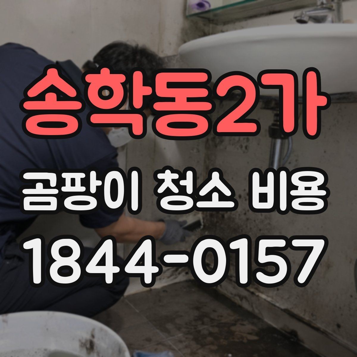 송학동2가 곰팡이 청소 비용 방 한 칸 기준으로 달라지는 견적 요소