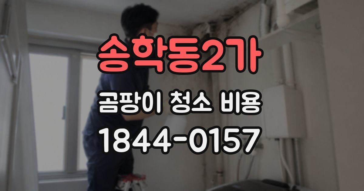 송학동2가 곰팡이 청소 비용