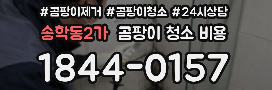 송학동2가 곰팡이 청소 비용