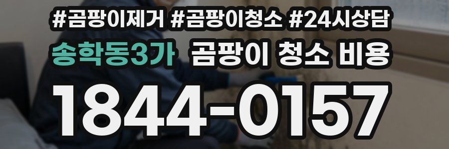 송학동3가 곰팡이 청소 비용