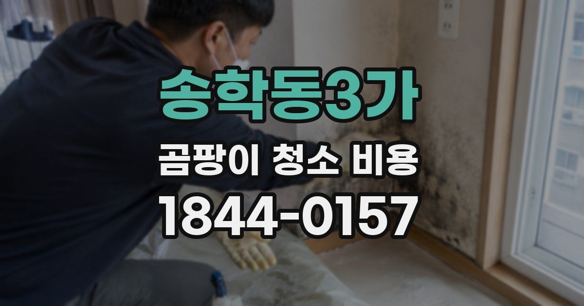 송학동3가 곰팡이 청소 비용