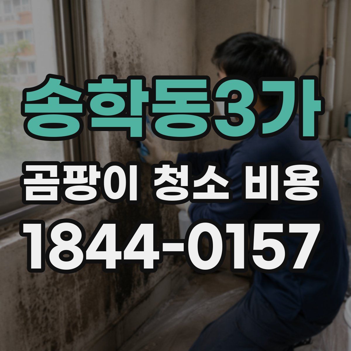 송학동3가 곰팡이 청소 비용