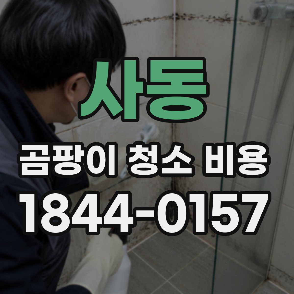 사동 곰팡이 청소 비용