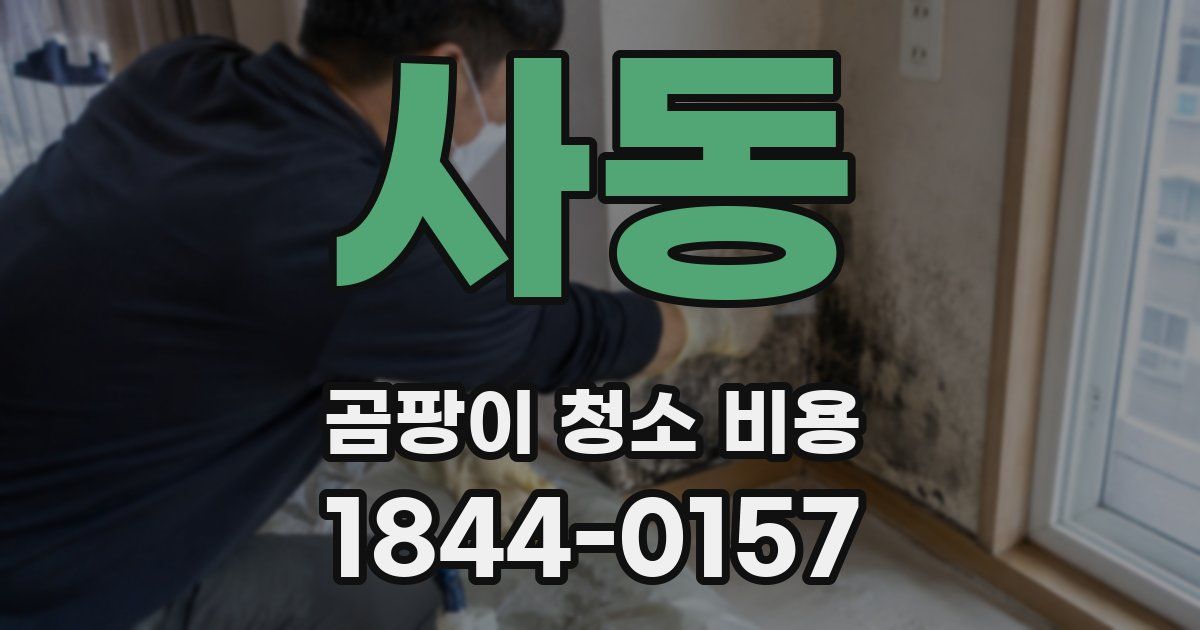 사동 곰팡이 청소 비용