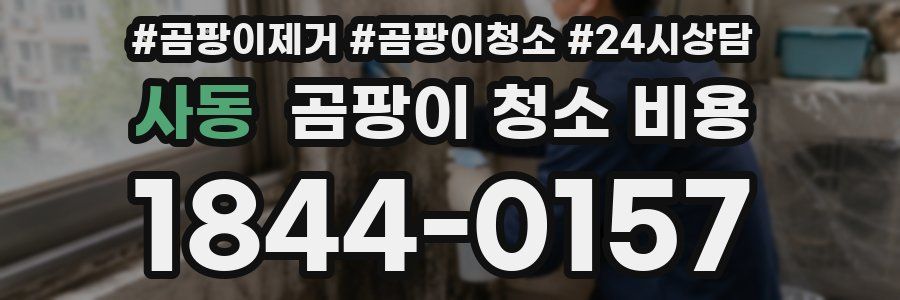 사동 곰팡이 청소 비용
