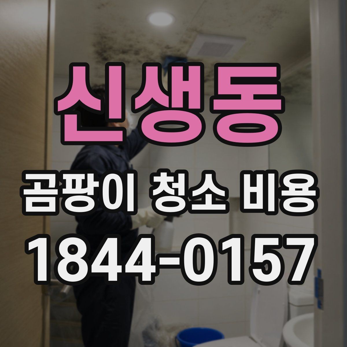 신생동 곰팡이 청소 비용 생활 공간과 매장 작업 범위가 달라지는 이유