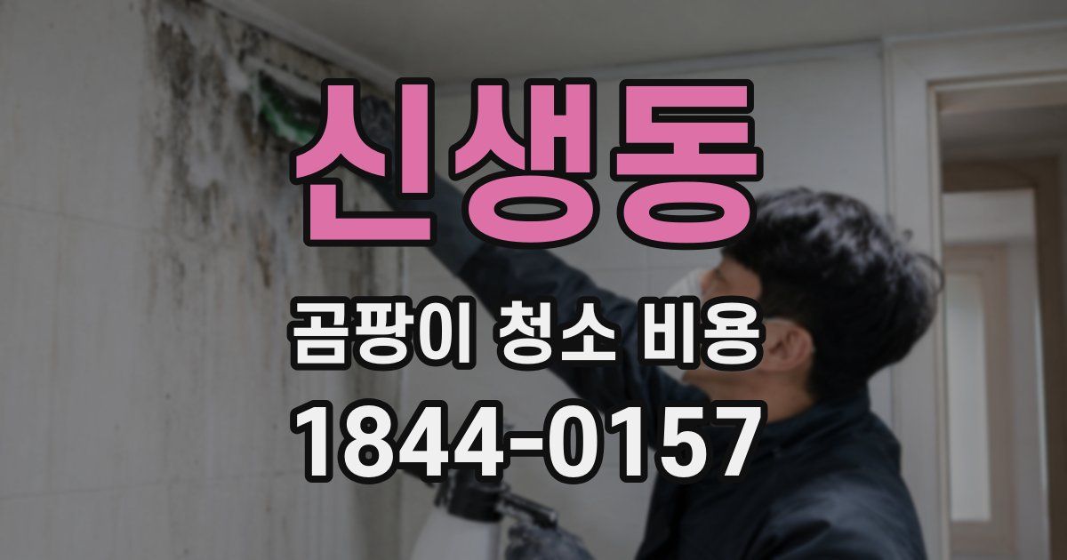 신생동 곰팡이 청소 비용